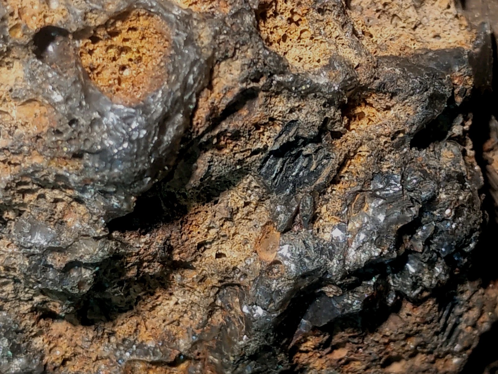 8″ Rare Missouri Iron-Aged Fossil Wood in Smoky Chalcedony – Knob Creek