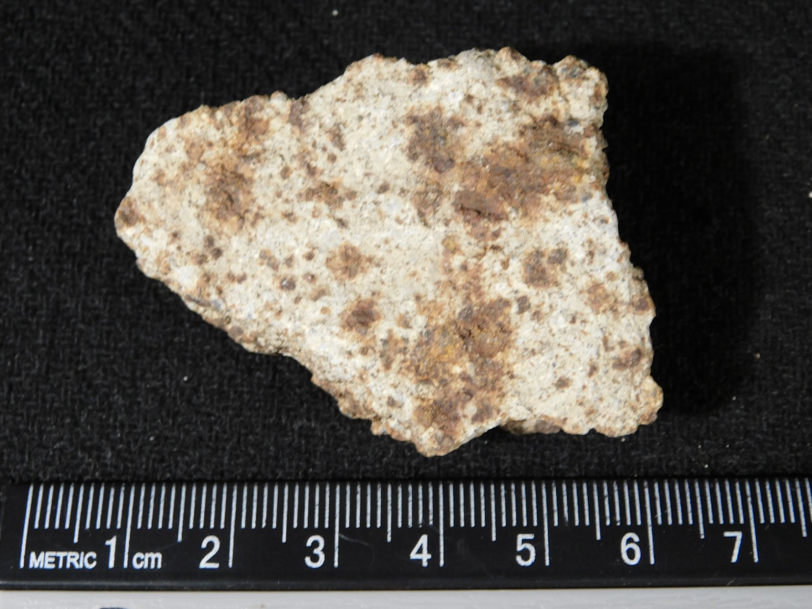 Classified NWA 8245 METEORITE Spots of Dark Fusion Crust! Erfoud, Morocco 51.6gr