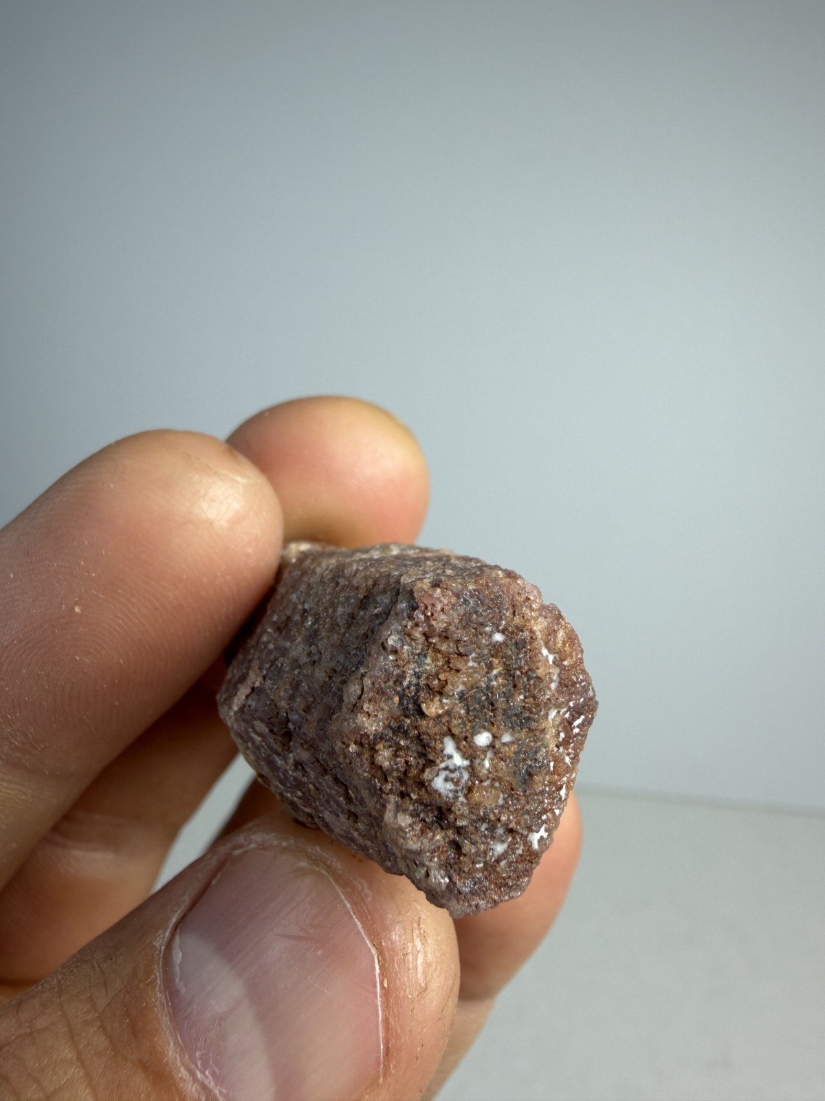 Pink Sapphire with Kyanite | Propst Farm North Carolina | Mineral Specimen