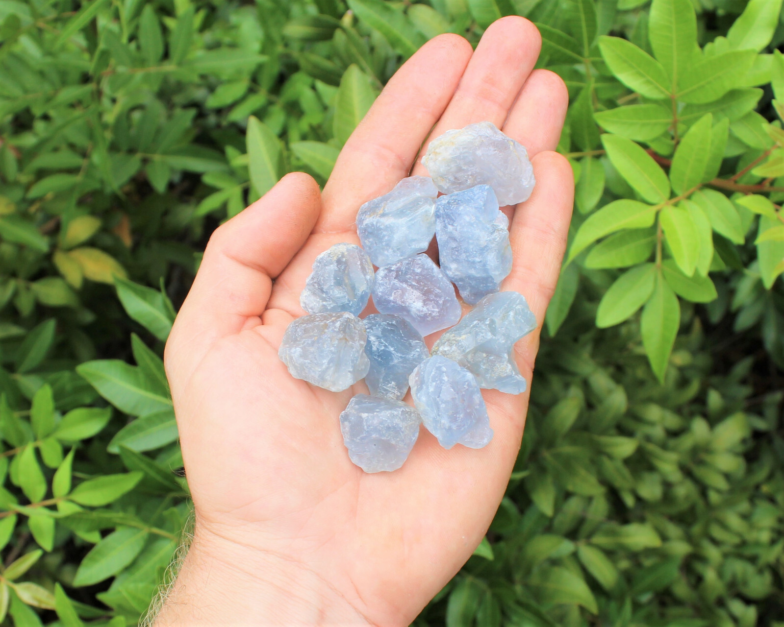 Celestite Rough Chips Natural Stones: Lot of 4 Pieces