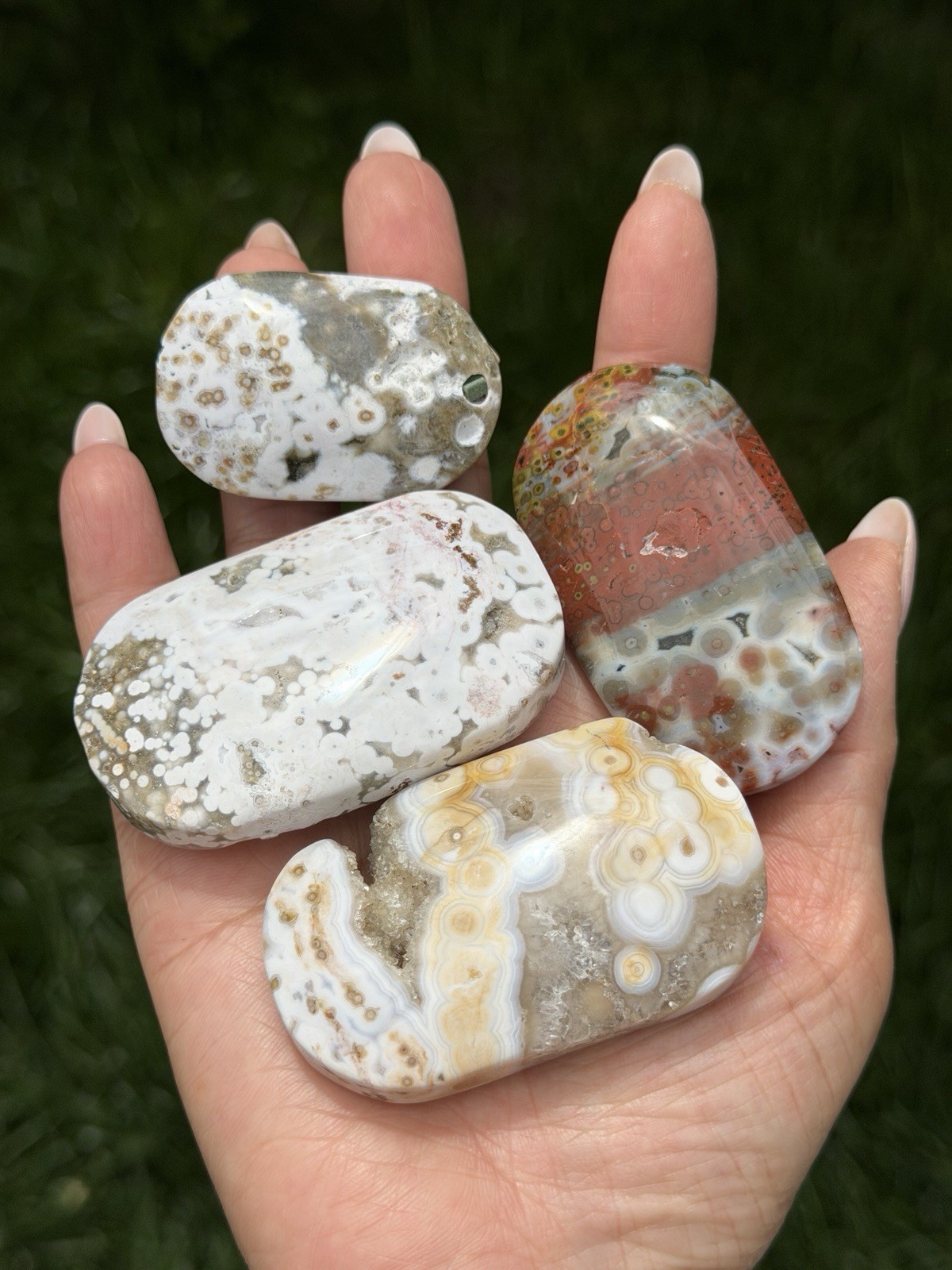 Wholesale Lot 1 Lb Natural Ocean Jasper Palm Stone Crystal Healing Energy.