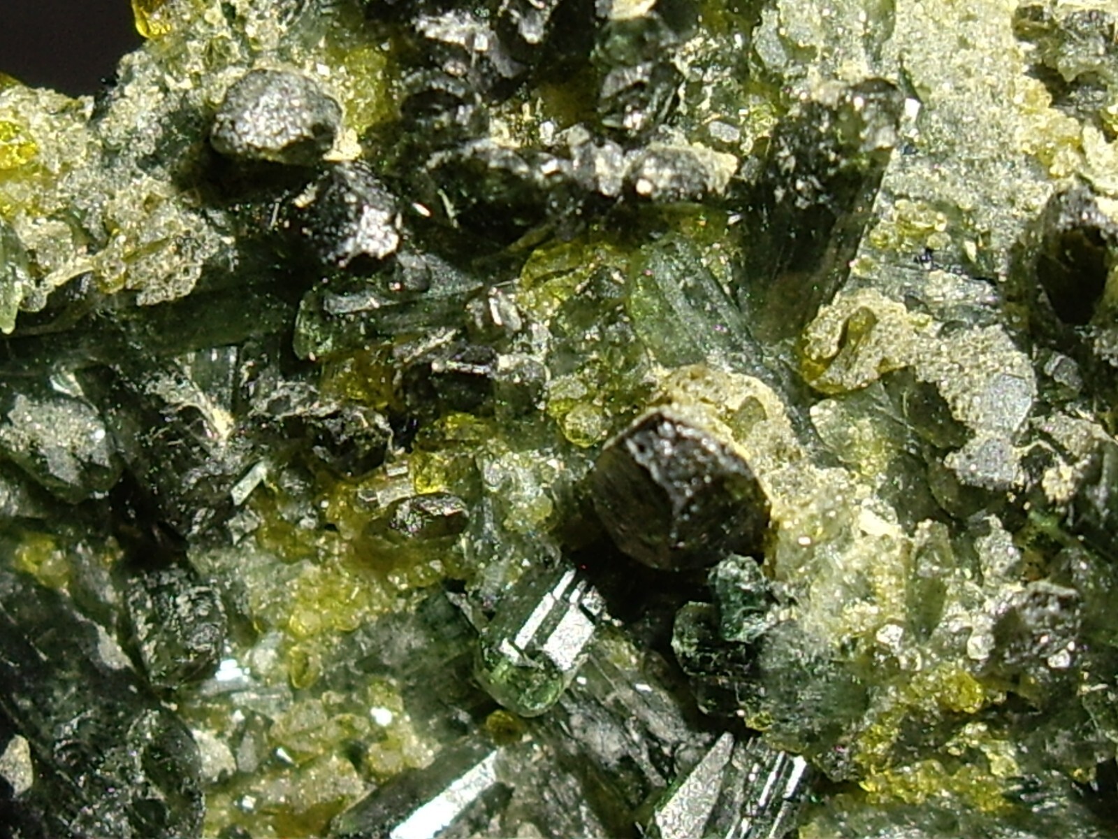 Awesome Magnetite, Vesuvianite, Garnet, and Diopside Crystals on Matrix 23.3g
