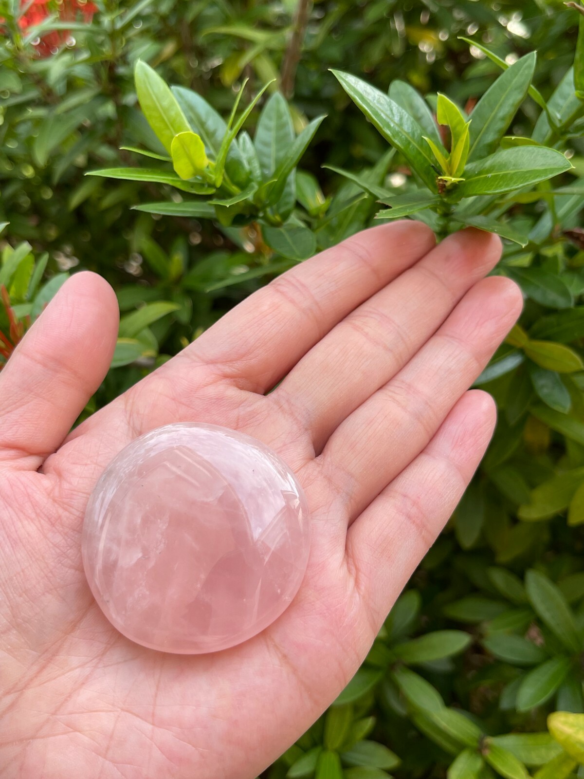 Rose Quartz Smooth Stone,1.5″-2″ Polished Rose Quartz Palm Stone, Wholesale Lot