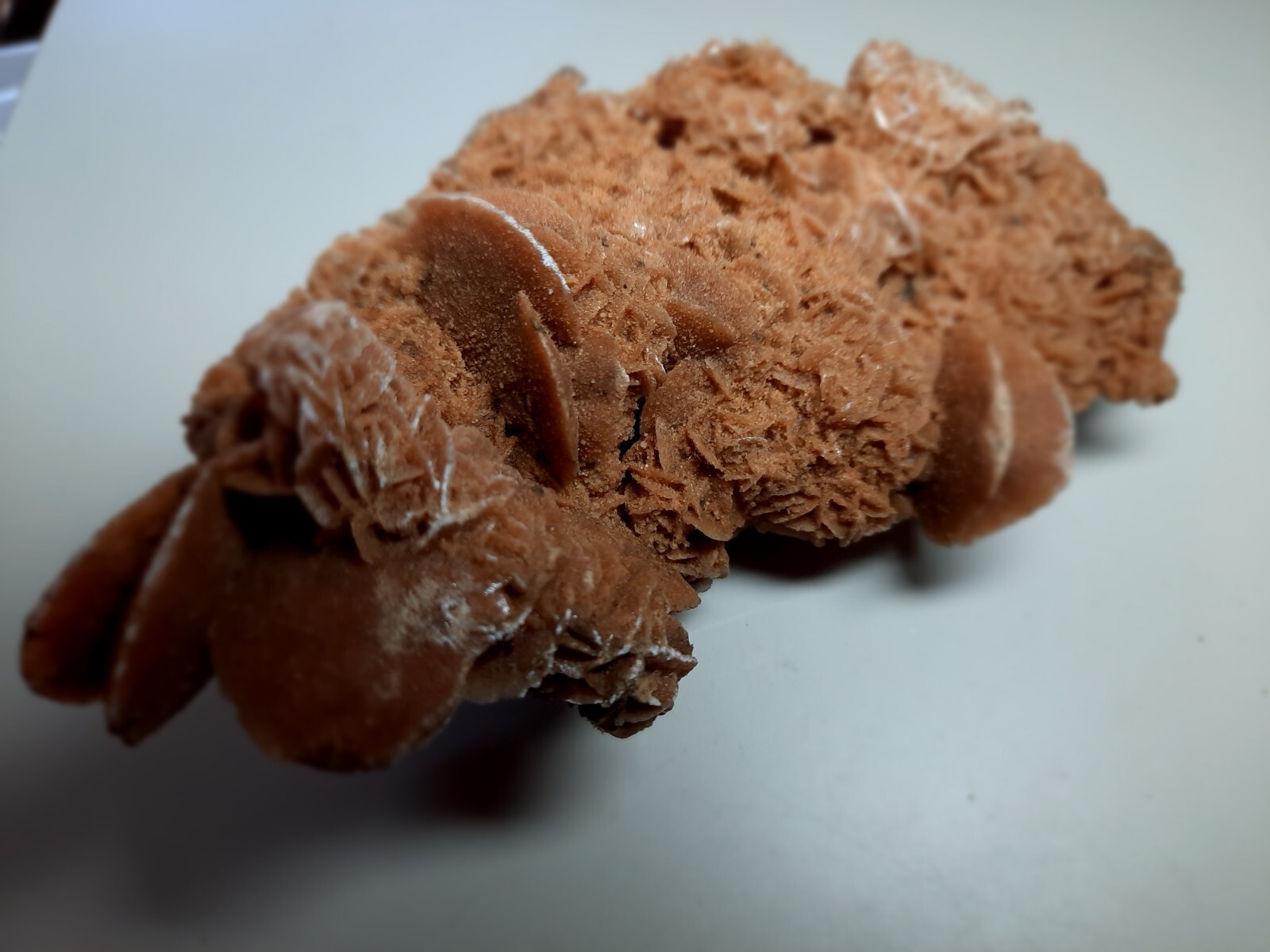 LARGE DESERT ROSE GYPSUM 6 1/4 x 3 1/2 x 2 1/4 Rock Mineral Crystal Stone