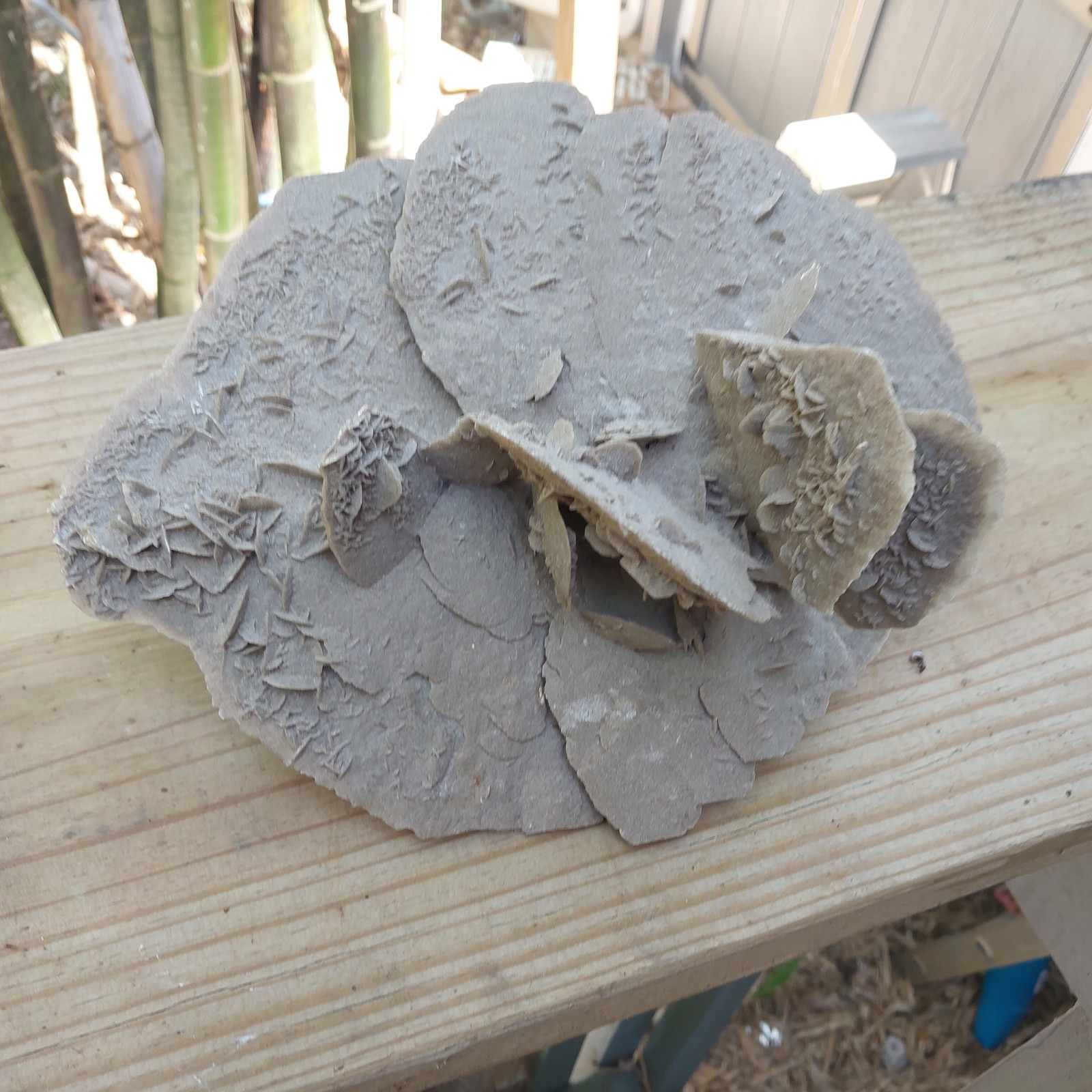 Desert Rose Selenite Gypsum Crystal Formation Mineral Specimen 12″ By 7″