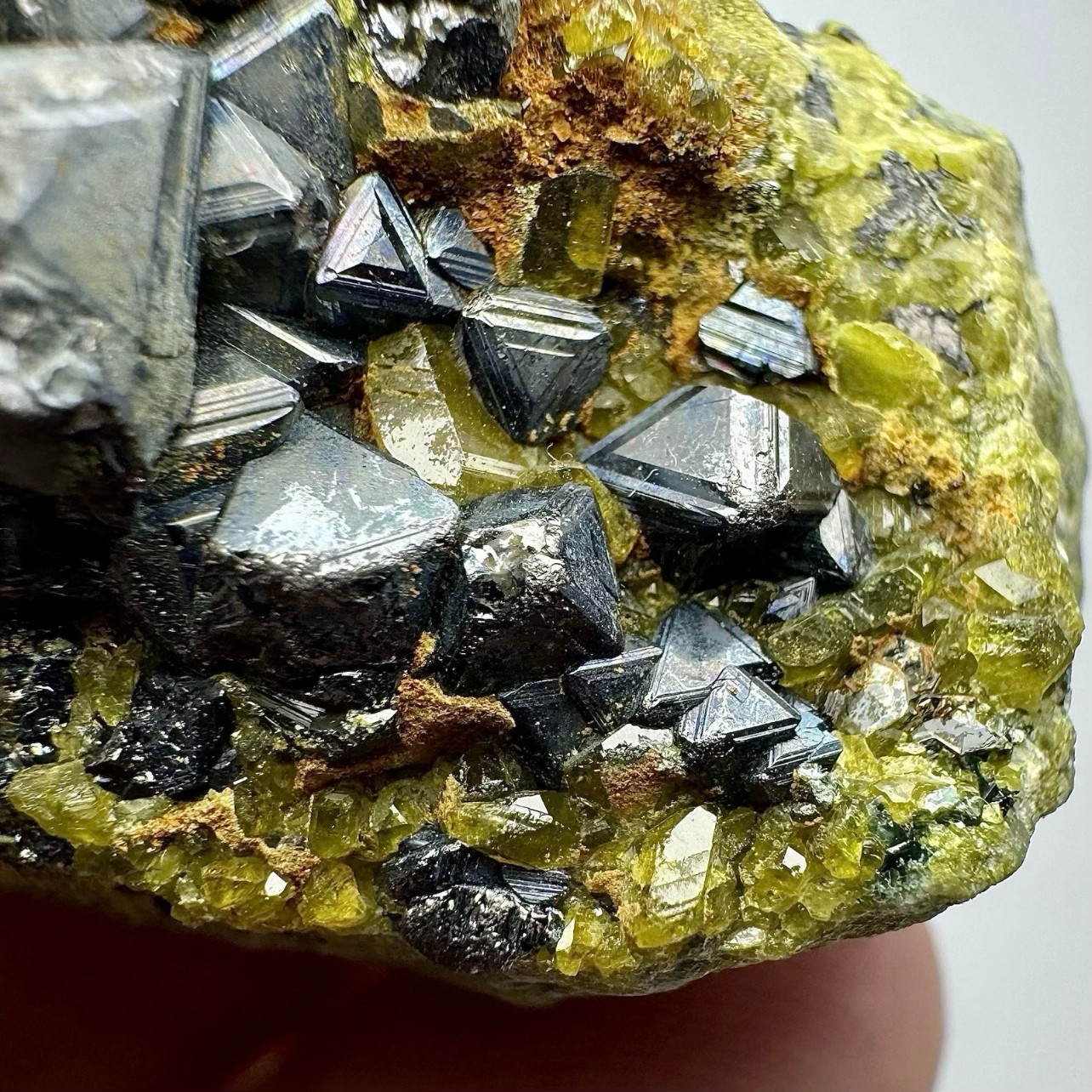 50 Gram Ultra Rare Magnetite W/Vesuvianite Crystals On Matrix From Afghanistan