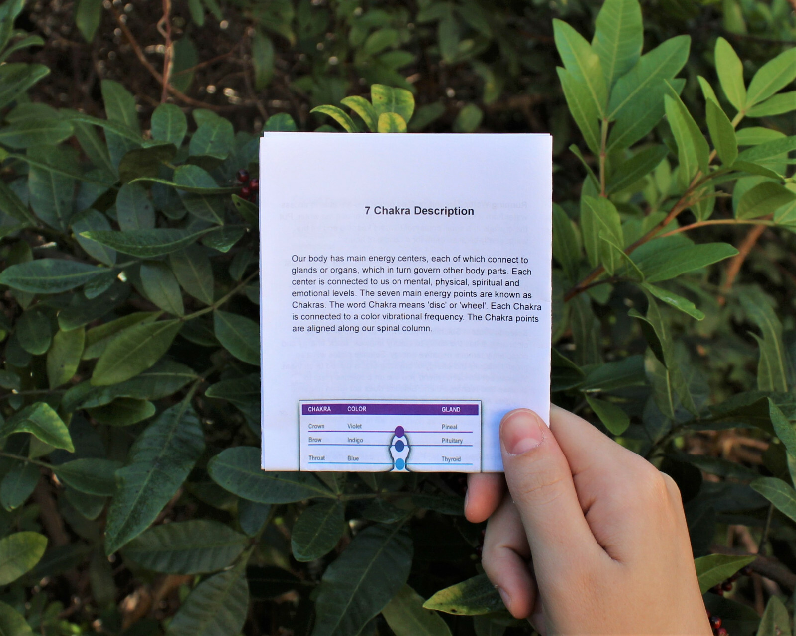 CHAKRA KIT: 7 Tumbled Stones Set & Instructions & Pouch & Chakra Chip Bracelet