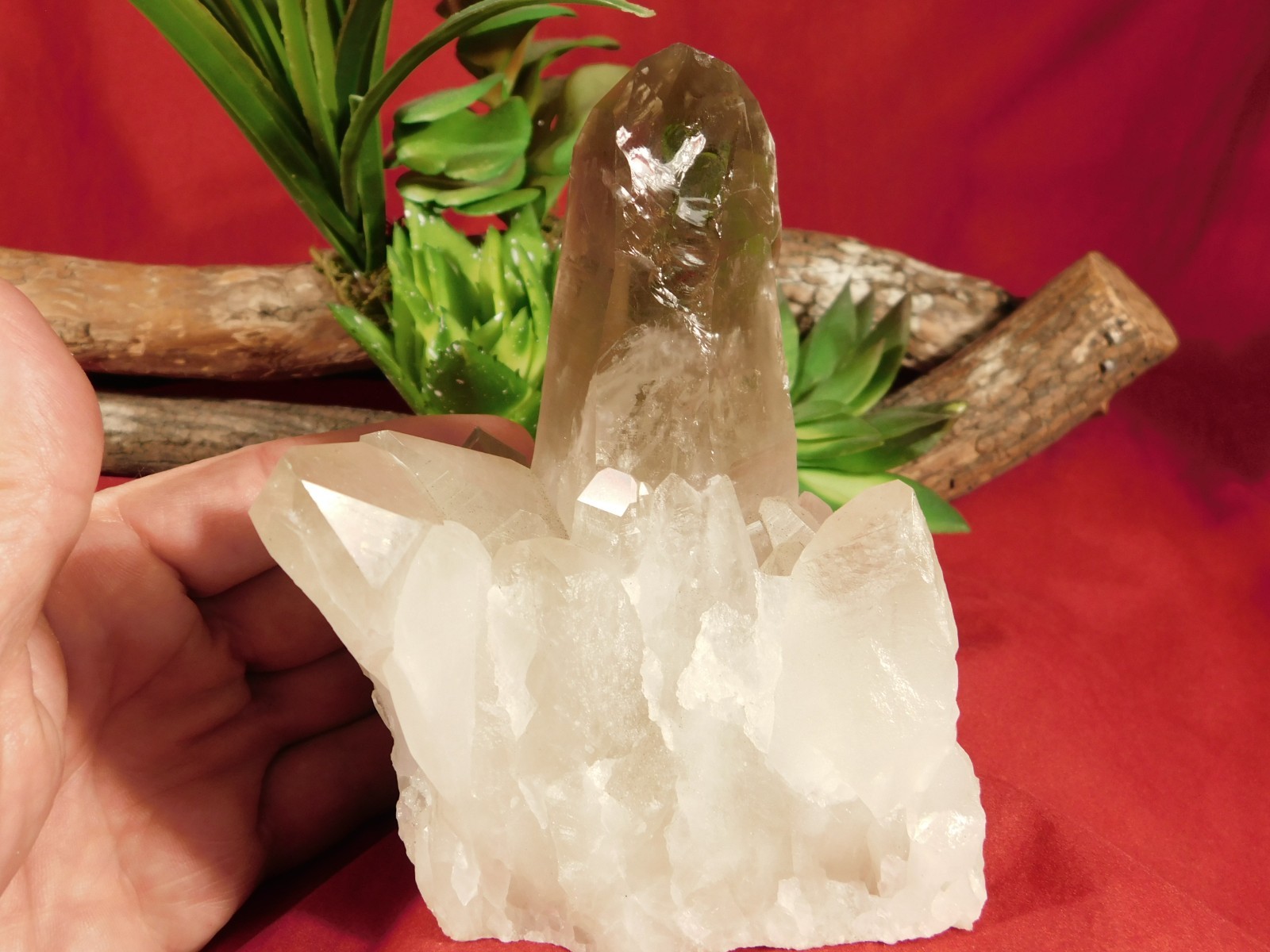 BIG! Free Standing! SMOKY Quartz Crystal Cluster From Brazil 792gr