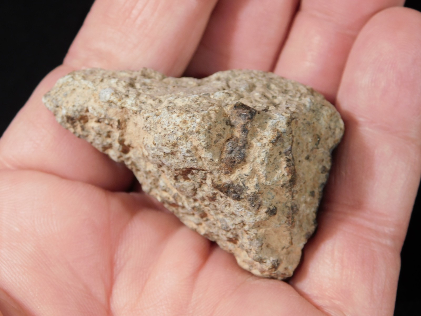 Classified NWA 8245 METEORITE Spots of Dark Fusion Crust! Erfoud, Morocco 55.4gr