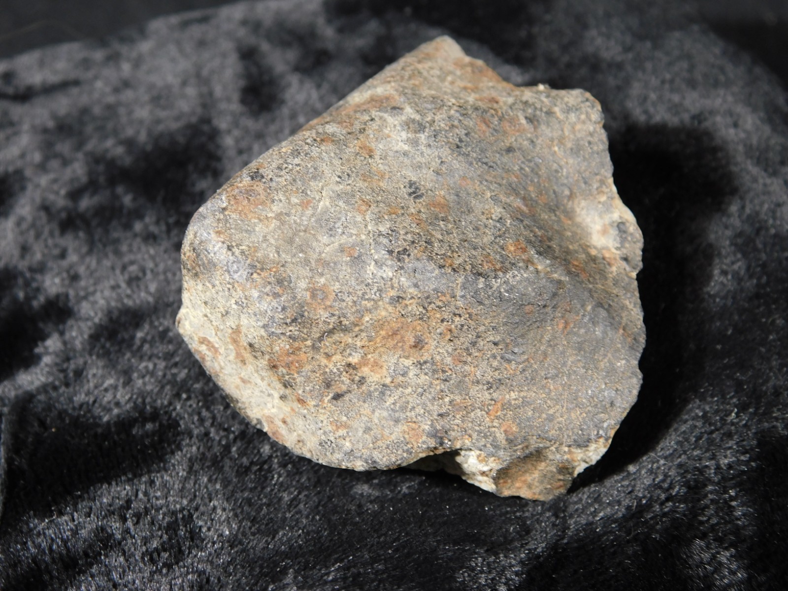 Classified NWA 8245 METEORITE 100% Natural FELL in Erfoud, Morocco 63.2gr