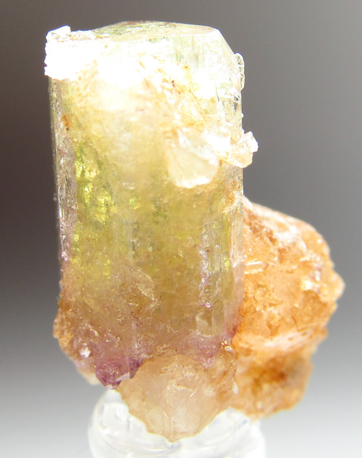 ELEGANT ULTRA RARE COMBO VESUVIANITE, GROSSULAR, DIOPSIDE!!! JEFFREY MINE CANADA