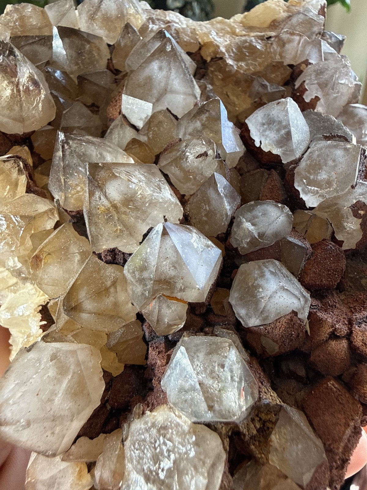 Large Smoky Quartz Crystal Cluster w/Limonite – Bulgaria – 2.45lbs