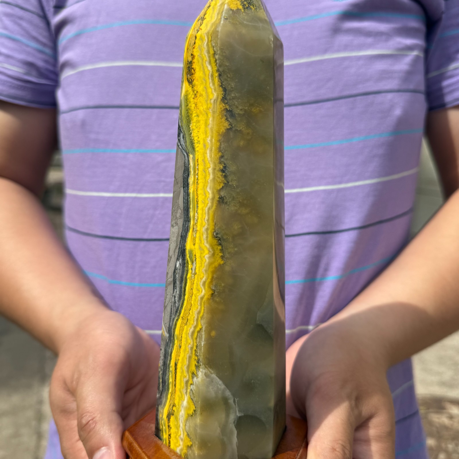 1168g Natural Bumblebee Jasper Tower Point Rare Crystal Healing With Stand