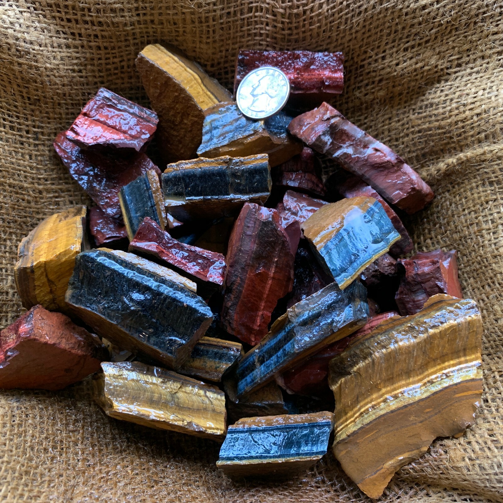 MIXED Tiger Eye Rough (RED, BLUE, GOLD)- 1000 Carat Lots+a FREE Faceted Gemstone