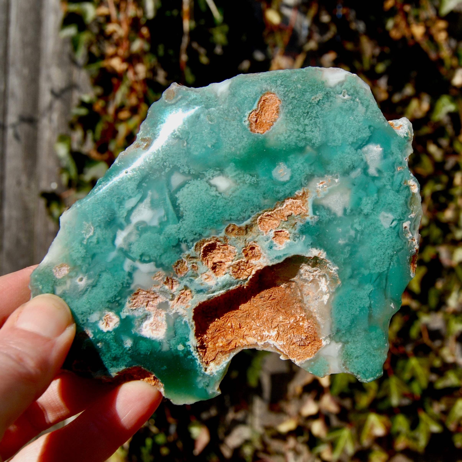5.25in 237g Large Mtorolite Chrome Chalcedony Crystal Slice, Zimbabwe mtl4