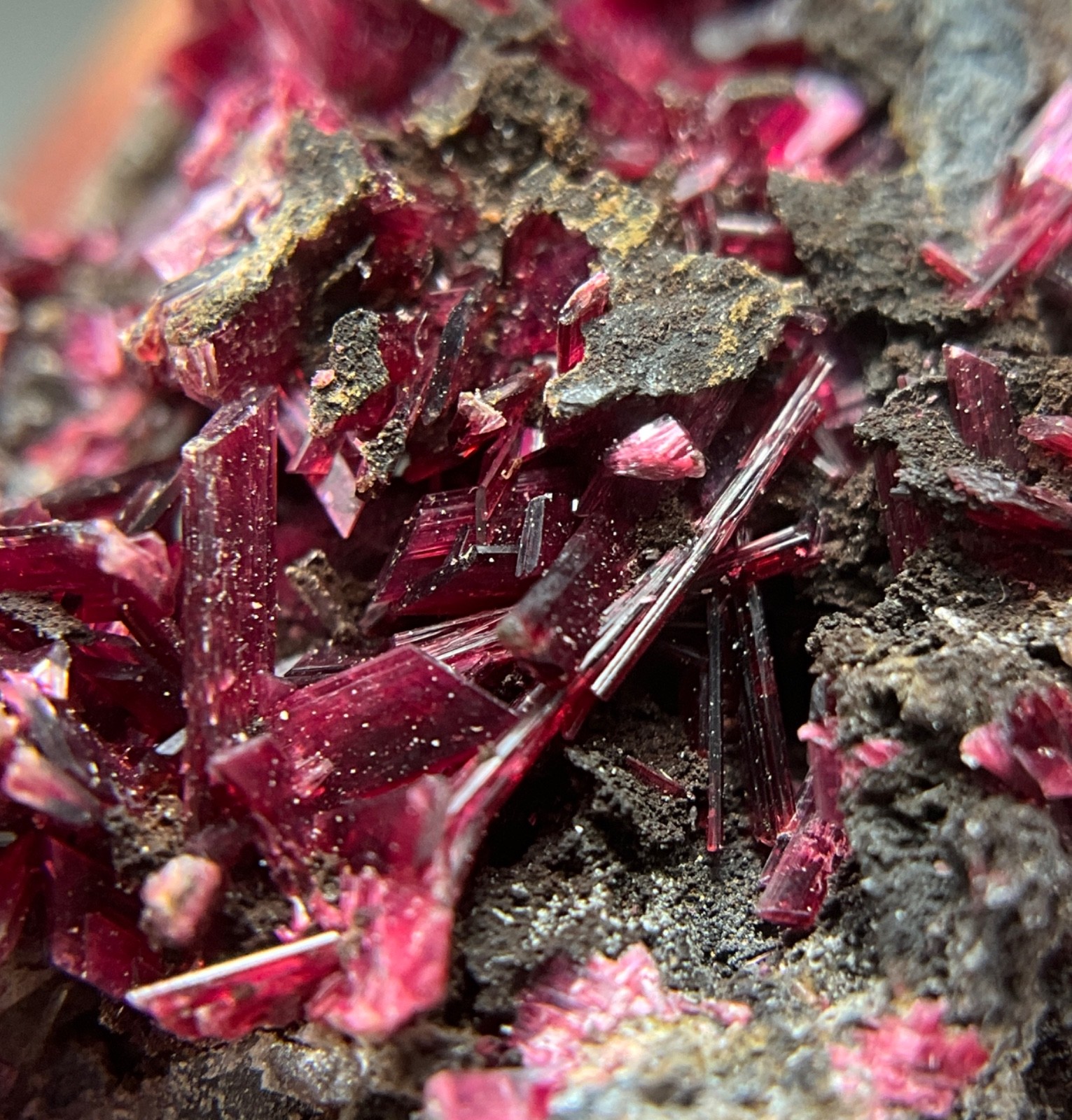 OUTSTANDING ERYTHRITE CRYSTALS FROM BOU AZZER MINE, MOROCCO