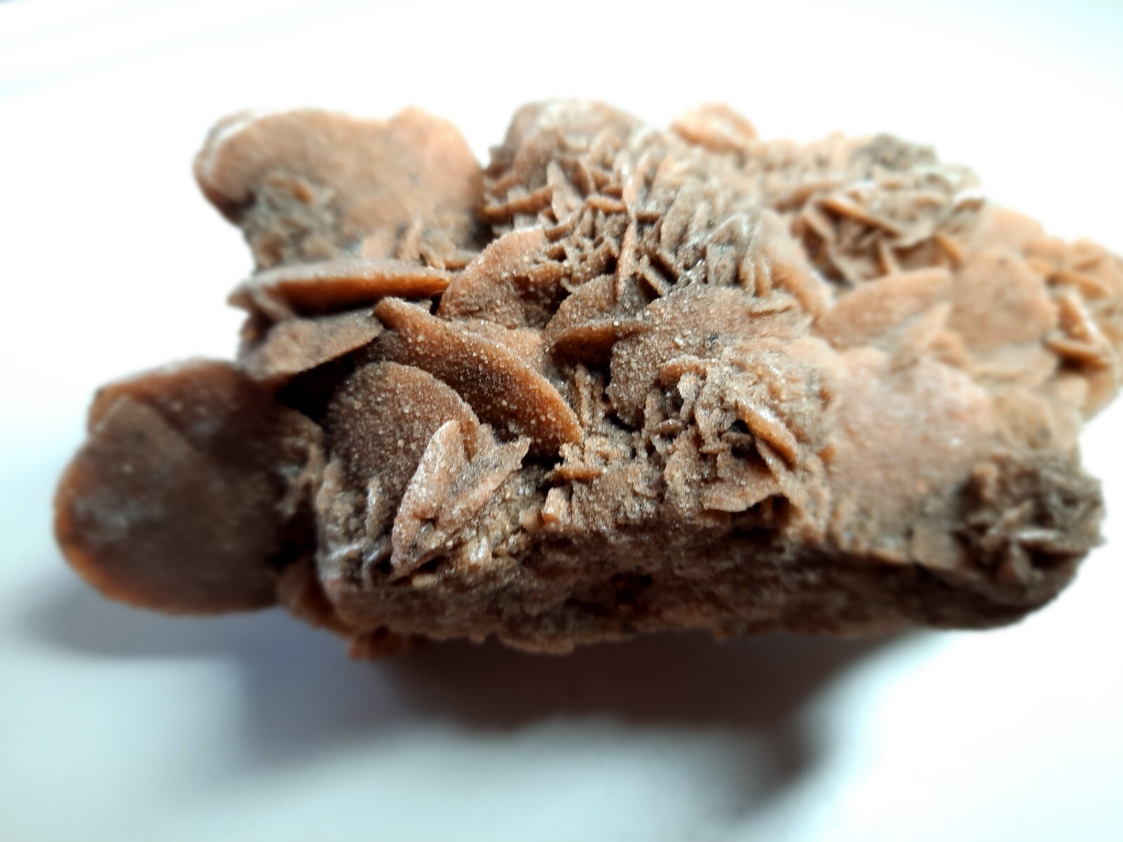 LARGE DESERT ROSE GYPSUM 6 1/4 x 3 1/2 x 2 1/4 Rock Mineral Crystal Stone