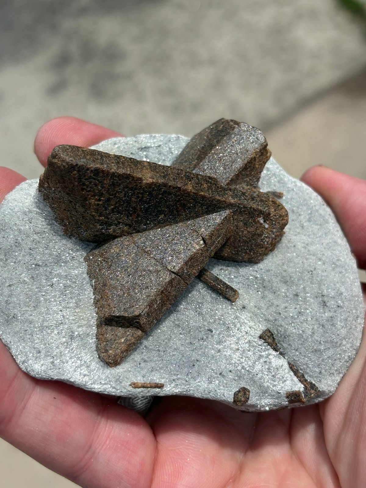Staurolite, “fairy cross”, Keivy Mountains, Kola Peninsula, Russia