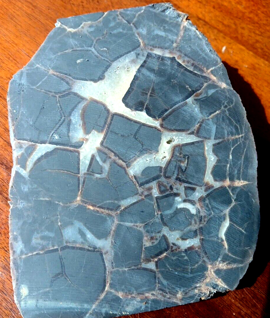 Septarian Nodule UV Reactive End Cut Display Crystal Specimen Glows Purple
