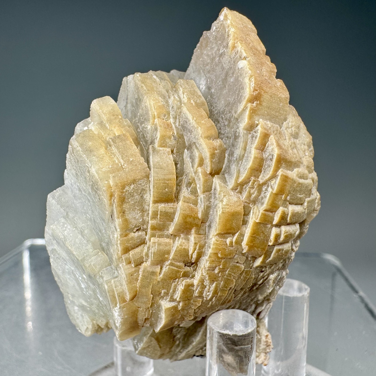Fine Baryte Crystal Group: Paga No. 1 Mine, Cartersville, Georgia- Classic!!
