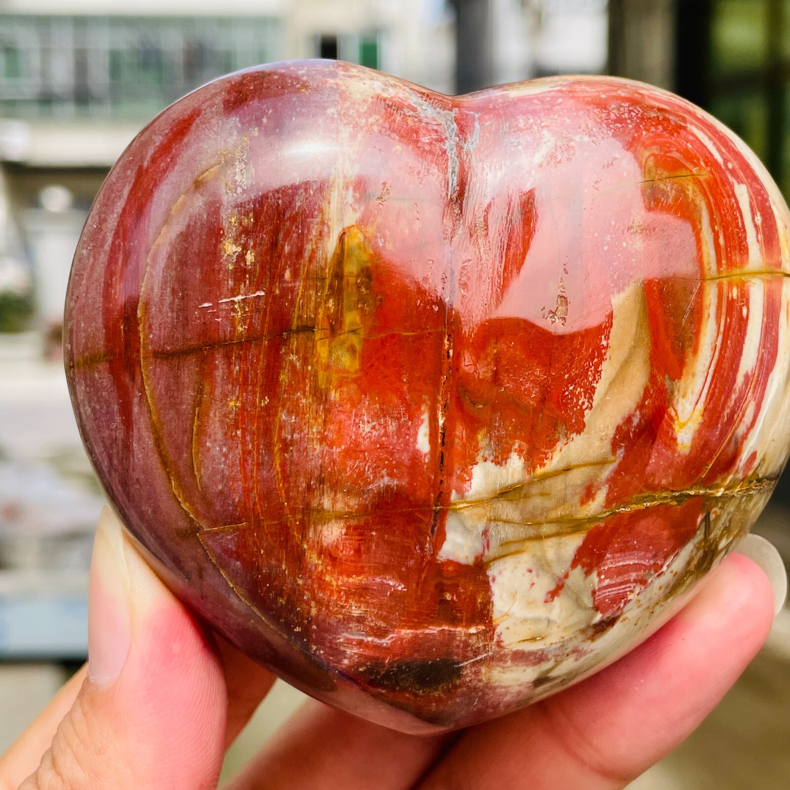 364g Natural Petrified Wood Jade Quartz Crystal Fossil Heart Shape Specimen