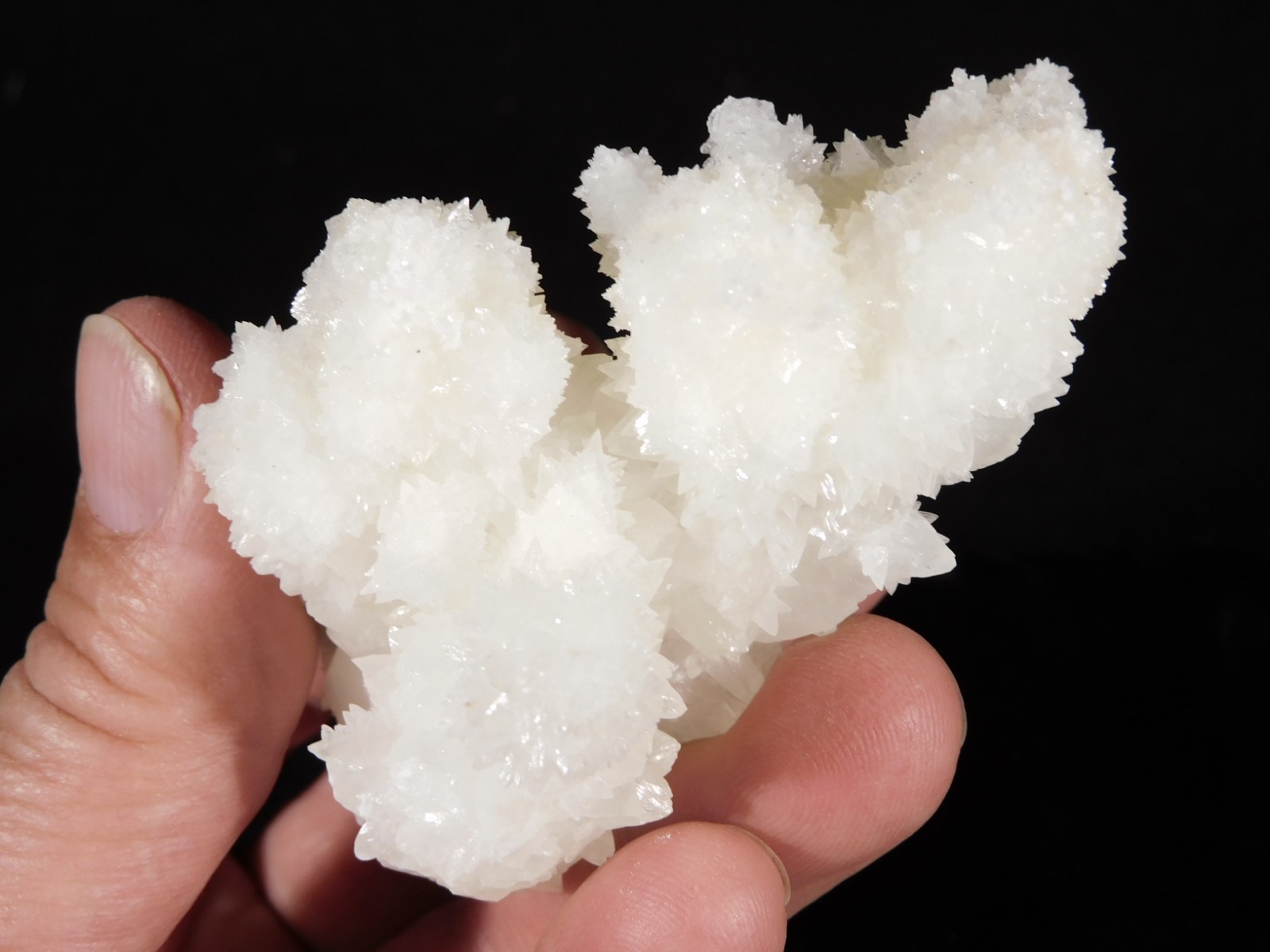 Bright White! CAVE Aragonite STALACTITE Crystal Cluster Mexico 145gr