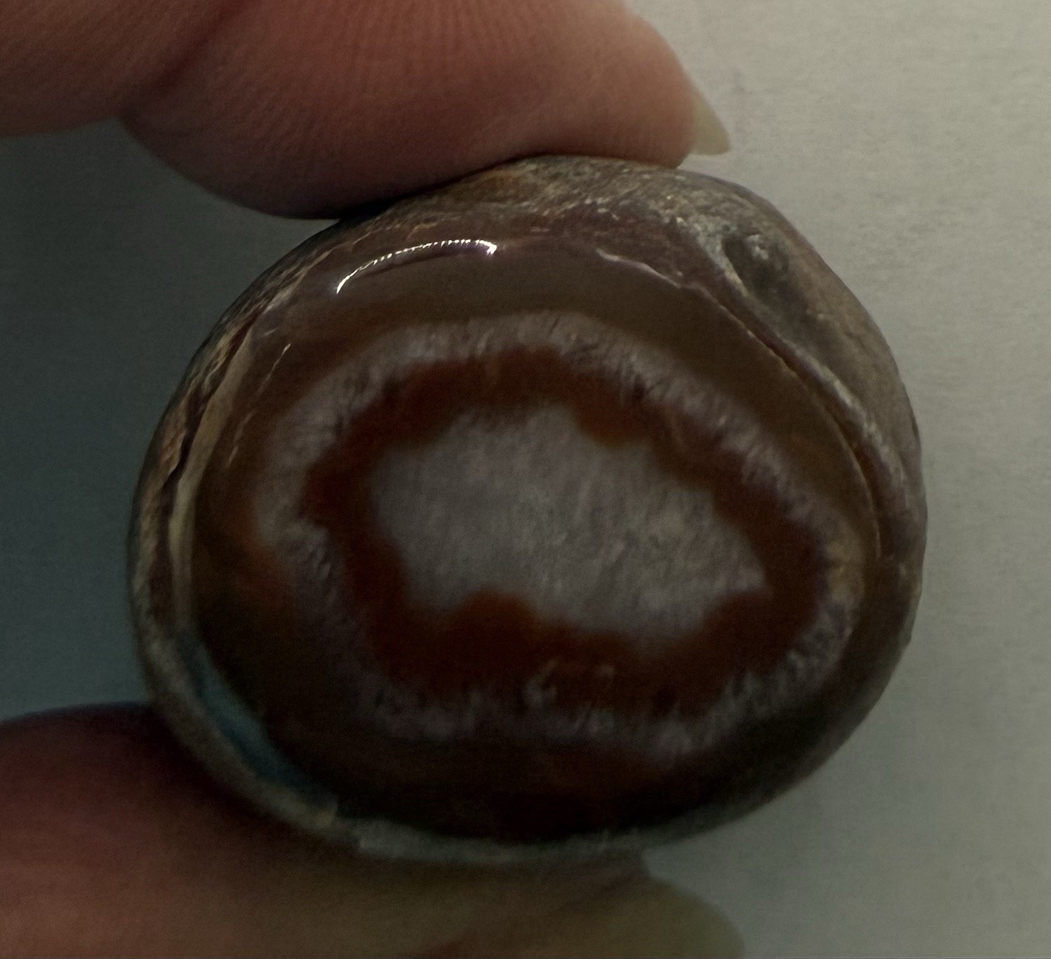 Lake Superior Agate Specimen. 1 1/4”x 1 1/4”x3/4”, 1.2 oz. Each end cut/polished