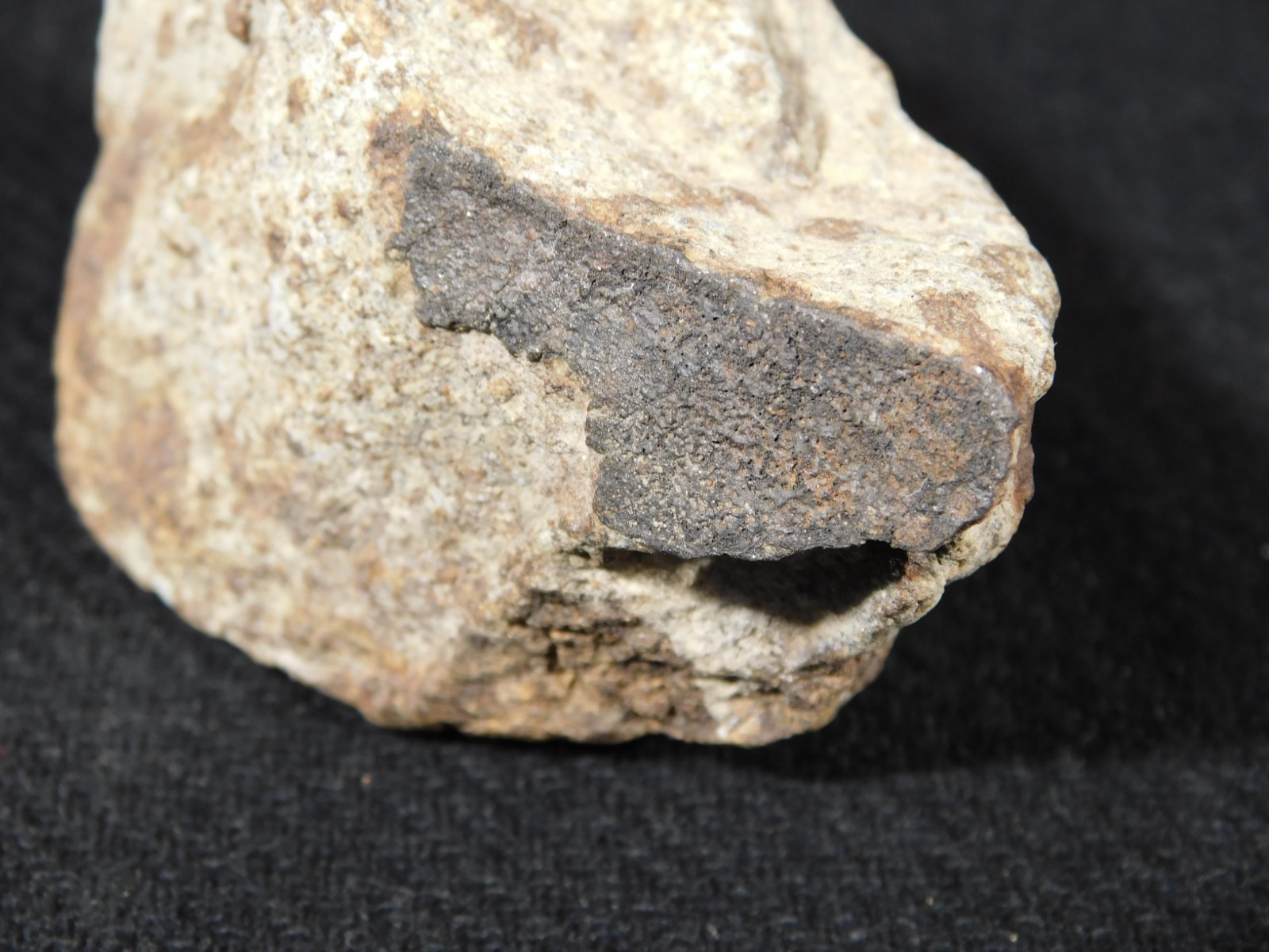 Classified NWA 8245 METEORITE 100% Natural Erfoud, Morocco 147gr