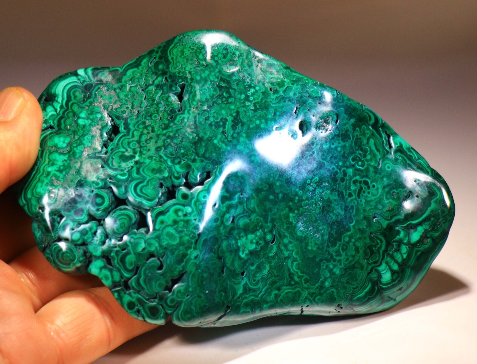 5.25 inch Top Quality Polished Bull’s Eye Malachite, Congo! M427