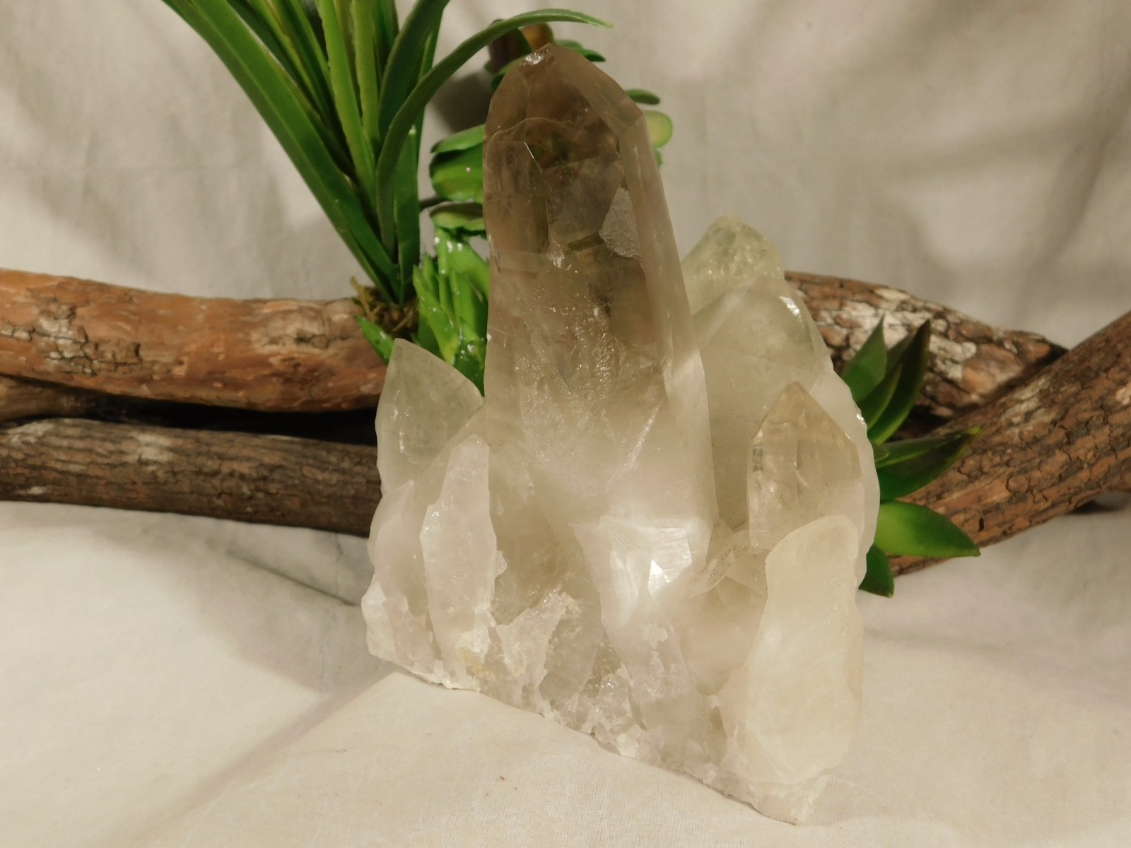 BIG! Free Standing! SMOKY Quartz Crystal Cluster From Brazil 792gr
