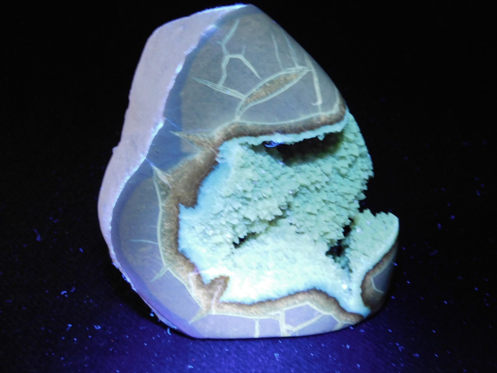 Big Polished AAA Crystal Filled Hollow Septarian GEODE Free Form Utah 1044gr