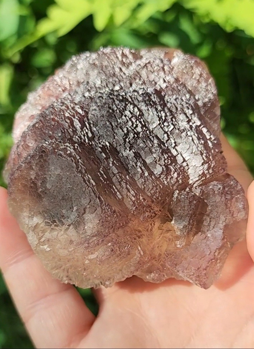 ✨️Terraced tricolor fluorite with chevron zoning Qinglong Mine, China✨️