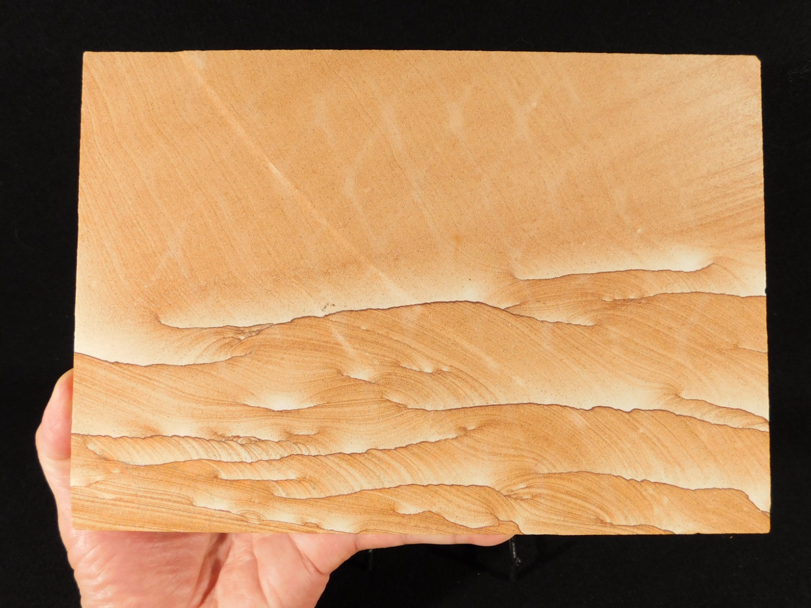 wOw! BIG PICTURE Stone or SANDSTONE Slice/Slab with Display Stand Utah 1041gr
