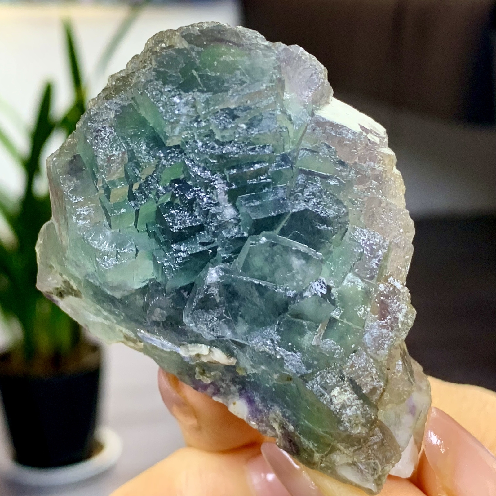 197G Rare transparent blue green cubic fluorite mineral crystal sample