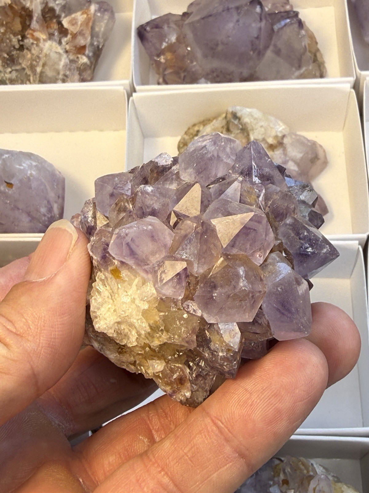 Amethyst Crystal Specimen! Orange River South Africa Excellent Color Quality
