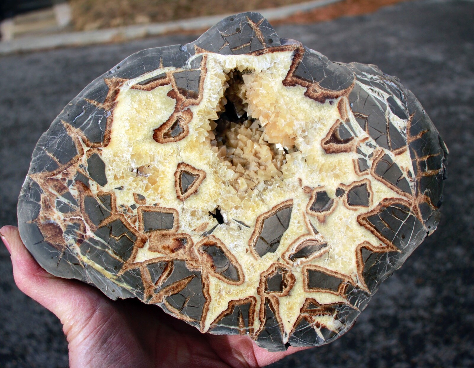Crystal Filled, Polished Septarian Geode from Utah • 12.1 lbs.