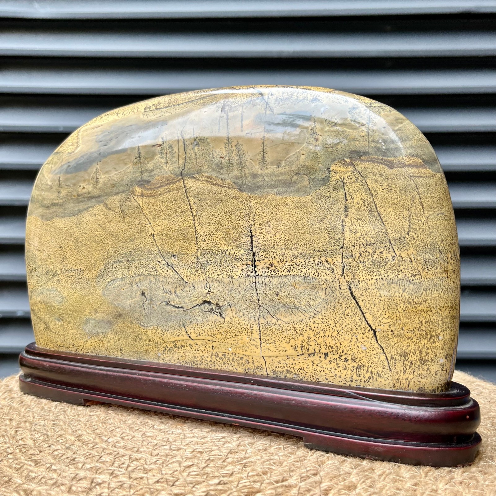 Natural Scenic Stone Display Polished Pattern Art w/ Wood Stand 4.1 lb