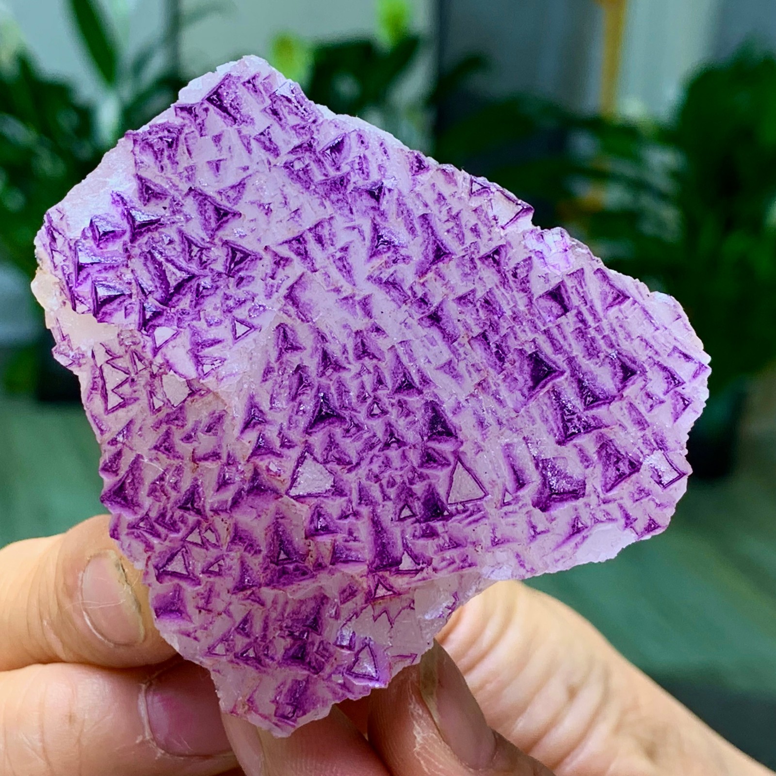 153G Natural fluorite purple edged cubic crystal mineral sample