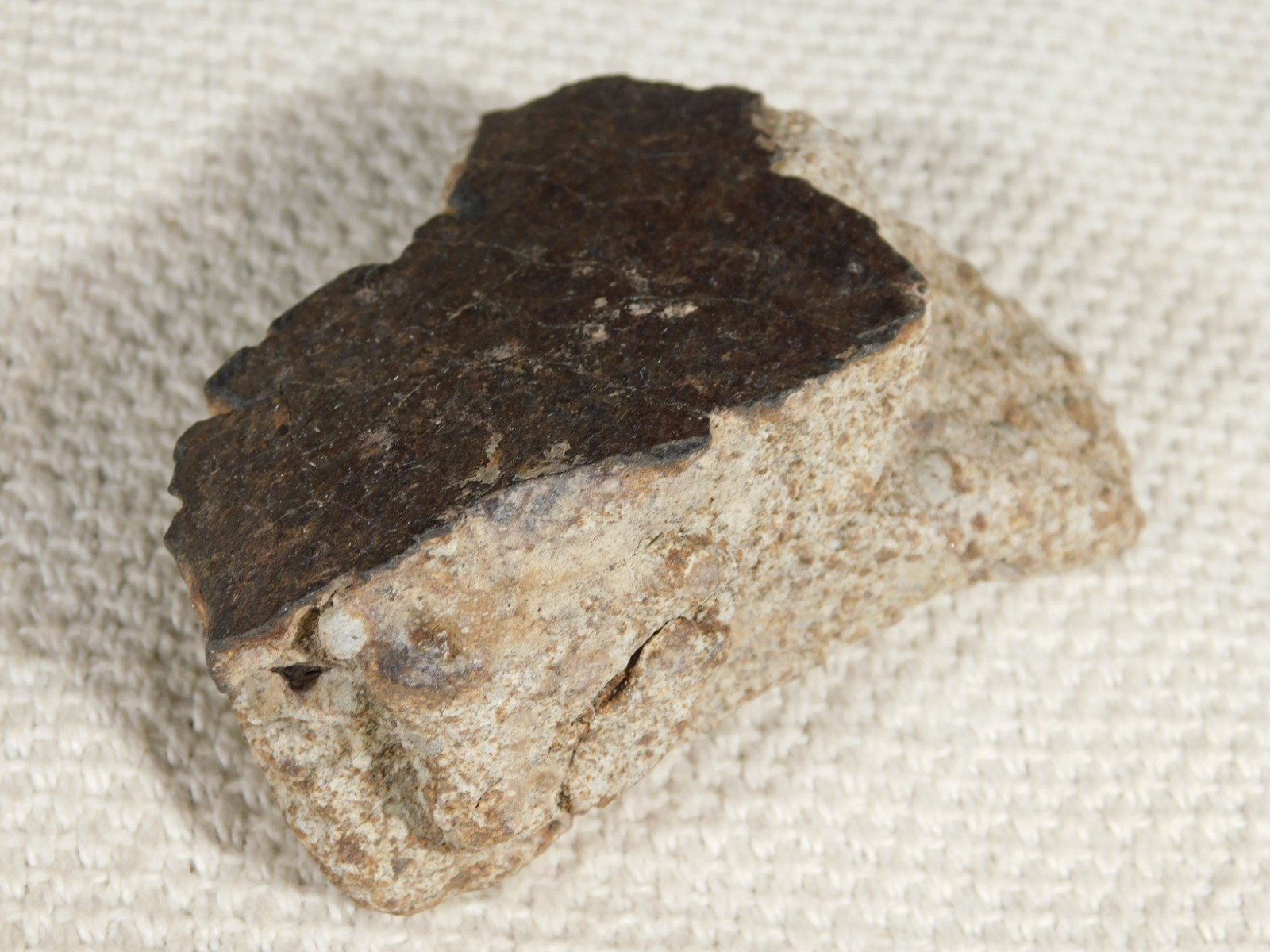 Larger! Classified NWA 8245 METEORITE 100% Natural! Erfoud, Morocco 184gr