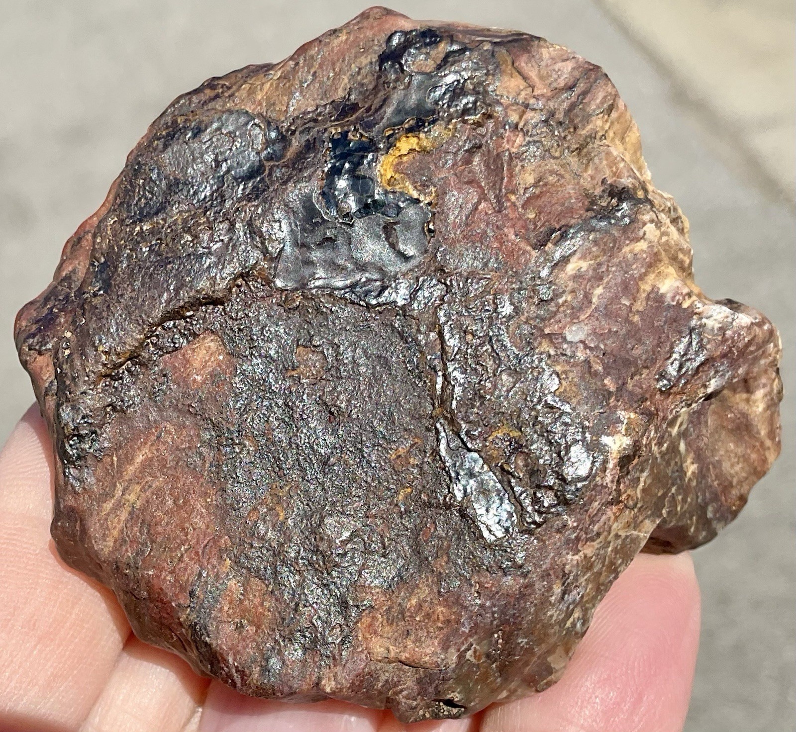 141g Banded Iron Petrified Wood Pseudomorph Rare Minnesota Rough Lapidary