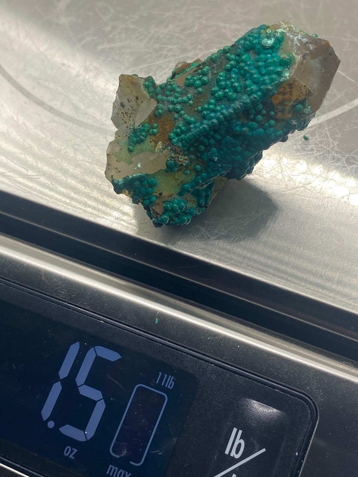 Botryoidal Chrysocolla on Quartz! Tentadora Mine Peru! See video!