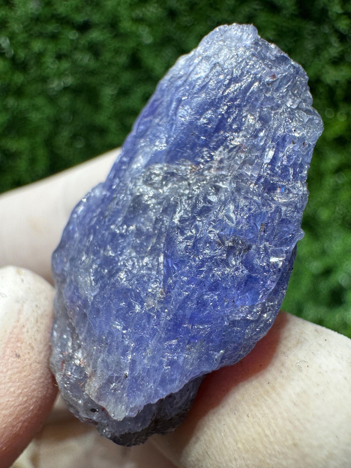 Lovely TANZANITE Crystal with COLOR CHANGE under yellow/white light / N435