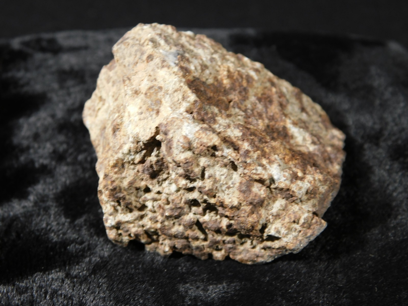 Classified NWA 8245 METEORITE 100% Natural FELL in Erfoud, Morocco 65.9gr