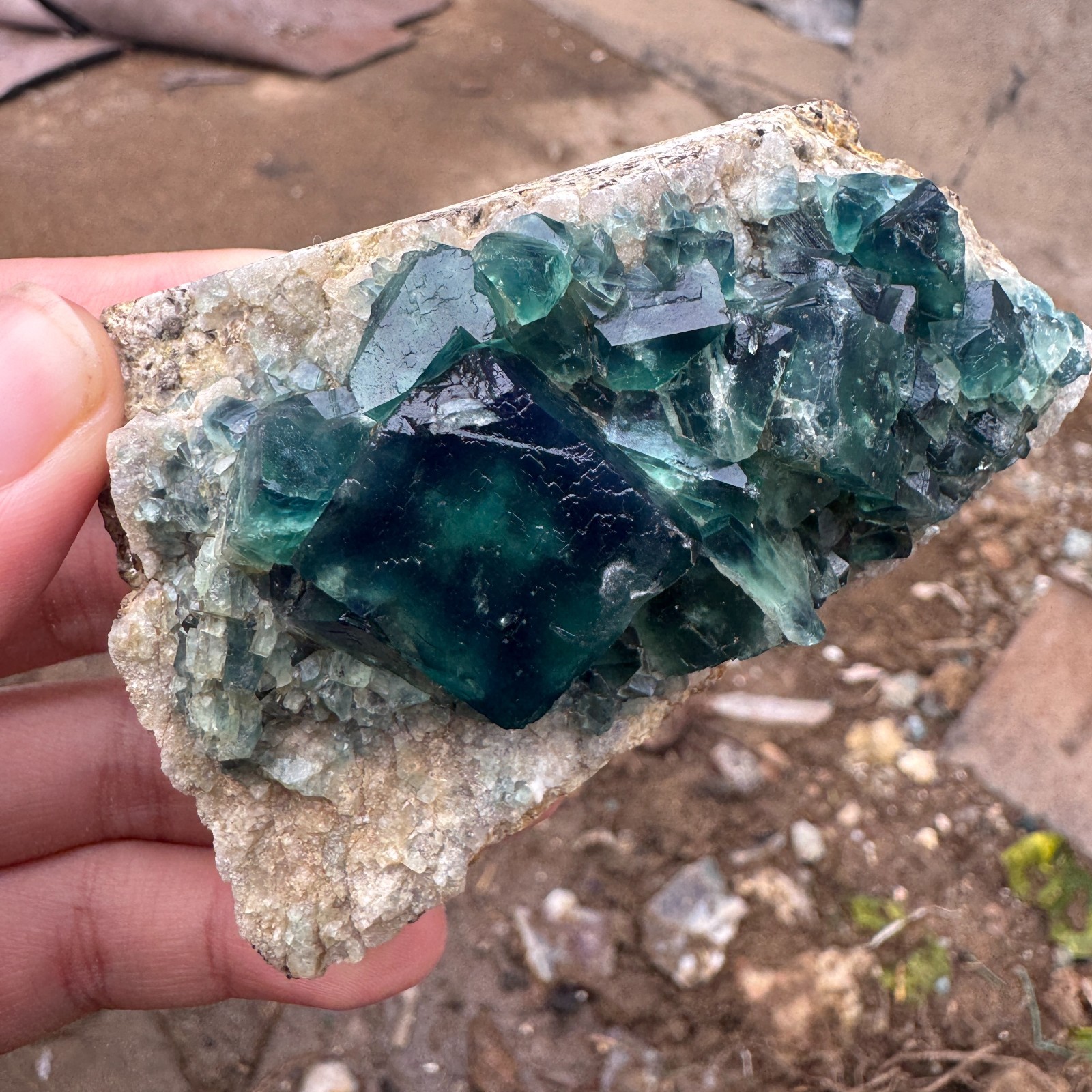 200G Natural cubic green fluorite crystal cluster rough mineral specimen Healing