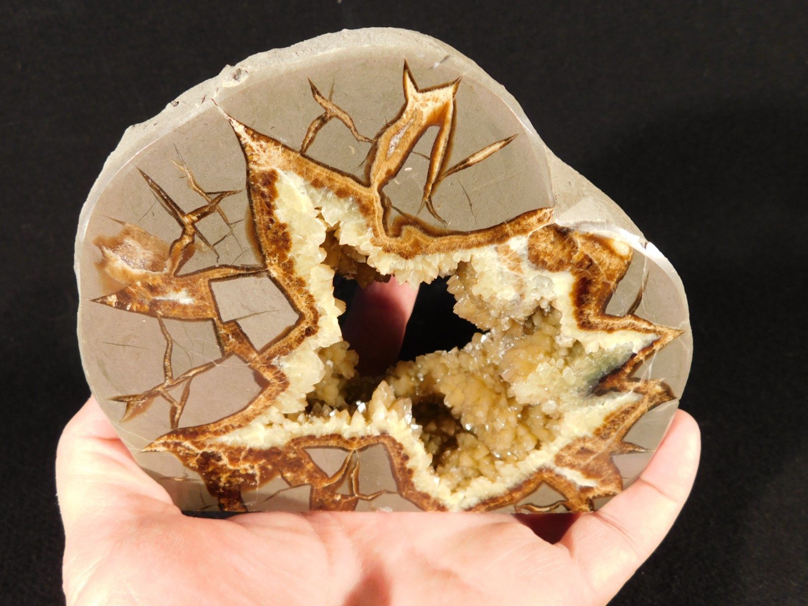 Big! Polished AAA Crystal Filled Hollow Septarian GEODE FREE Standing Utah 780gr