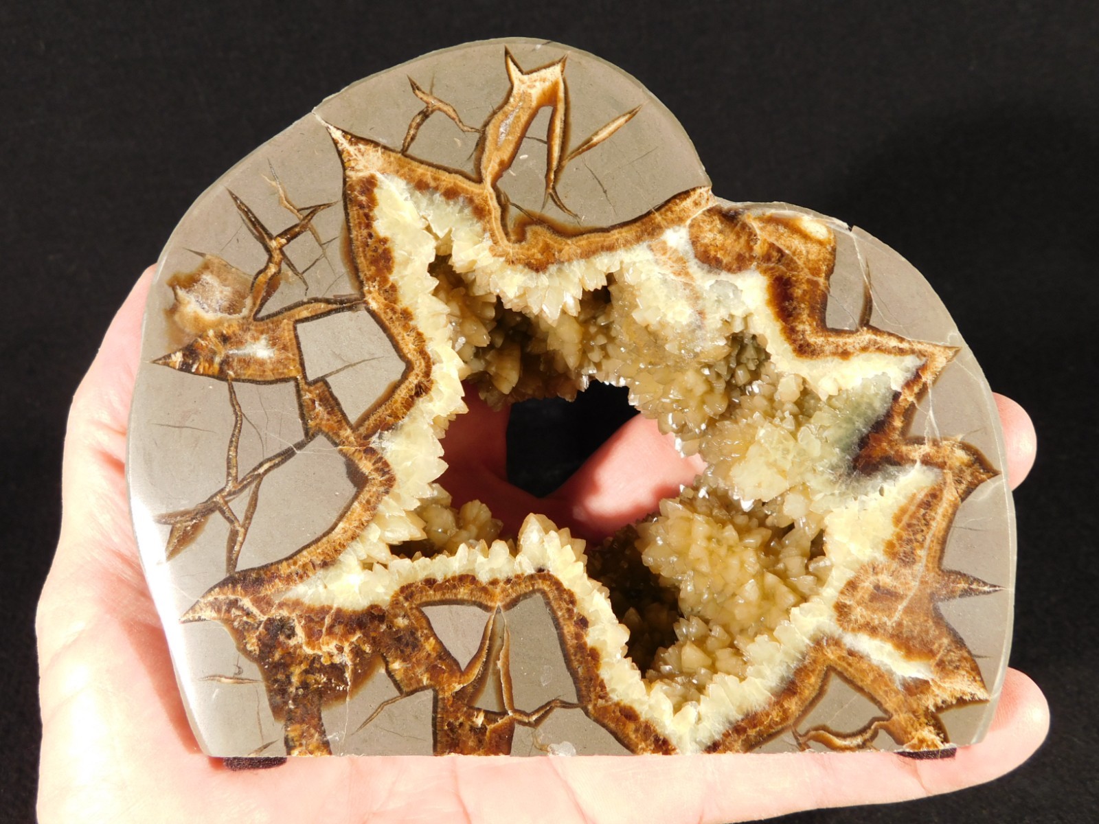 Big! Polished AAA Crystal Filled Hollow Septarian GEODE FREE Standing Utah 780gr