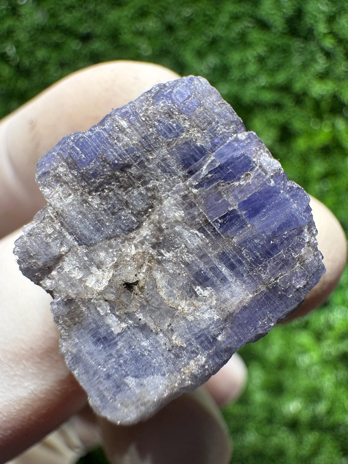 Lovely TANZANITE Crystal with COLOR CHANGE under yellow/white light / N445