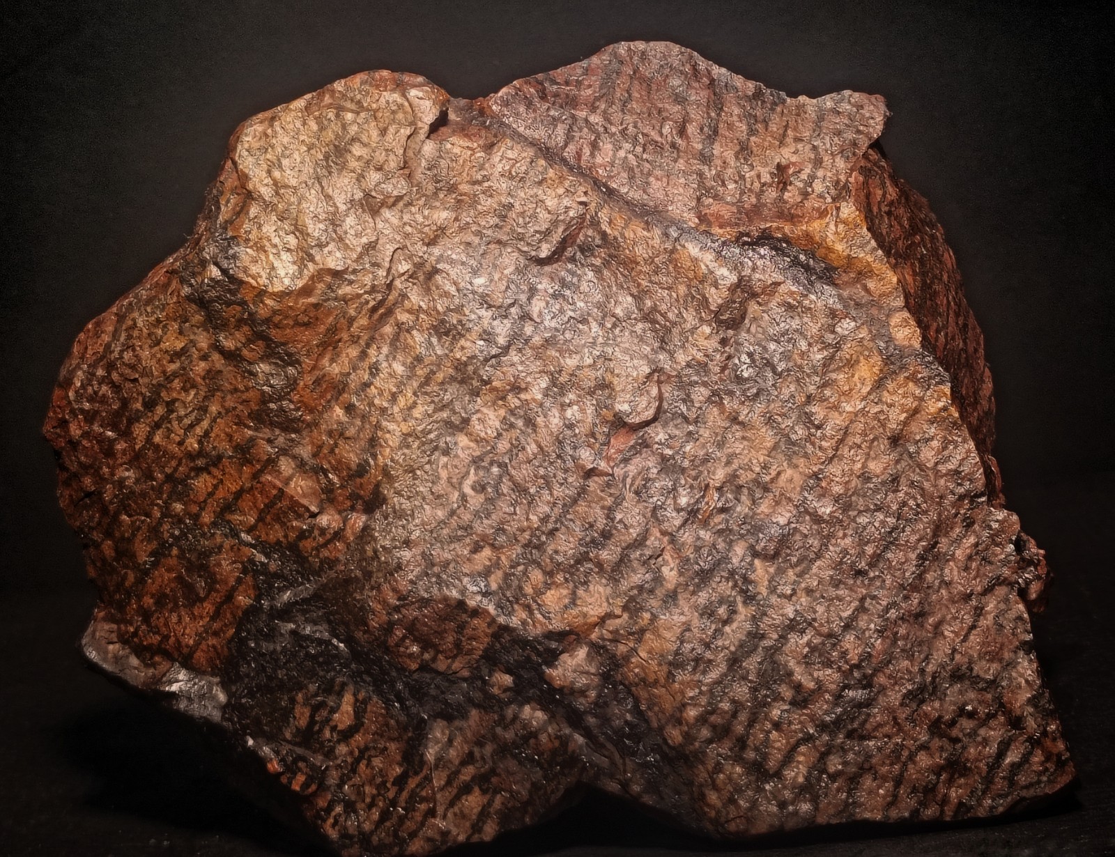 Shepard’s Fire Specular Hematite Rhyolite Porphyry 4lb 12.7oz polished Missouri