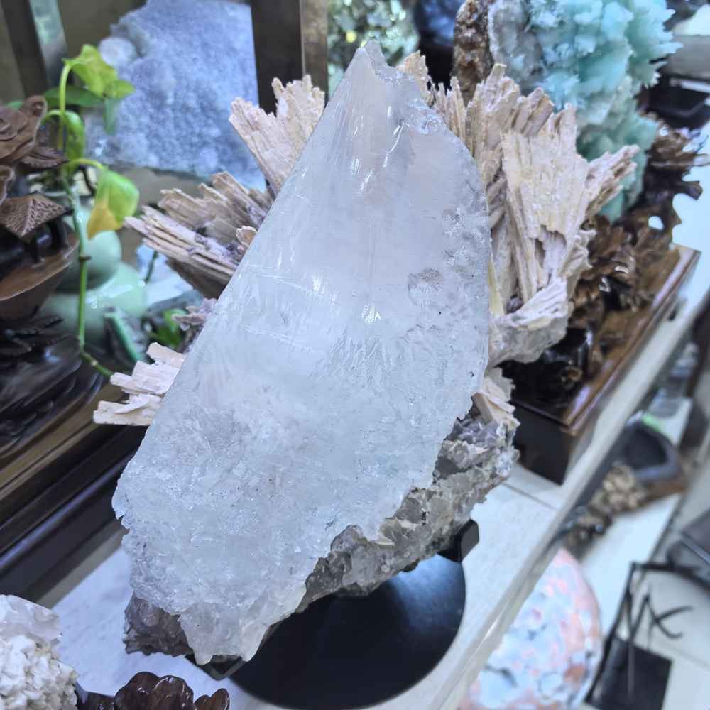 17LB Rare Natural Clear Selenite Gypsum Crystal Symbiosis Mineral Specimen