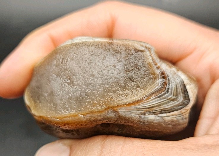 Lake Superior Agate Brown, Red And White Bander Nodule 3.21 OZ